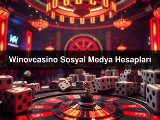 Winovcasino Sosyal