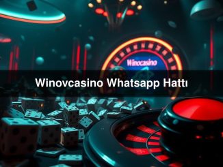 Winovcasino Whatsapp