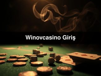 Winovcasino Giriş