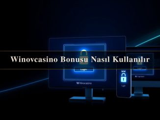 Winovcasino Bonusu